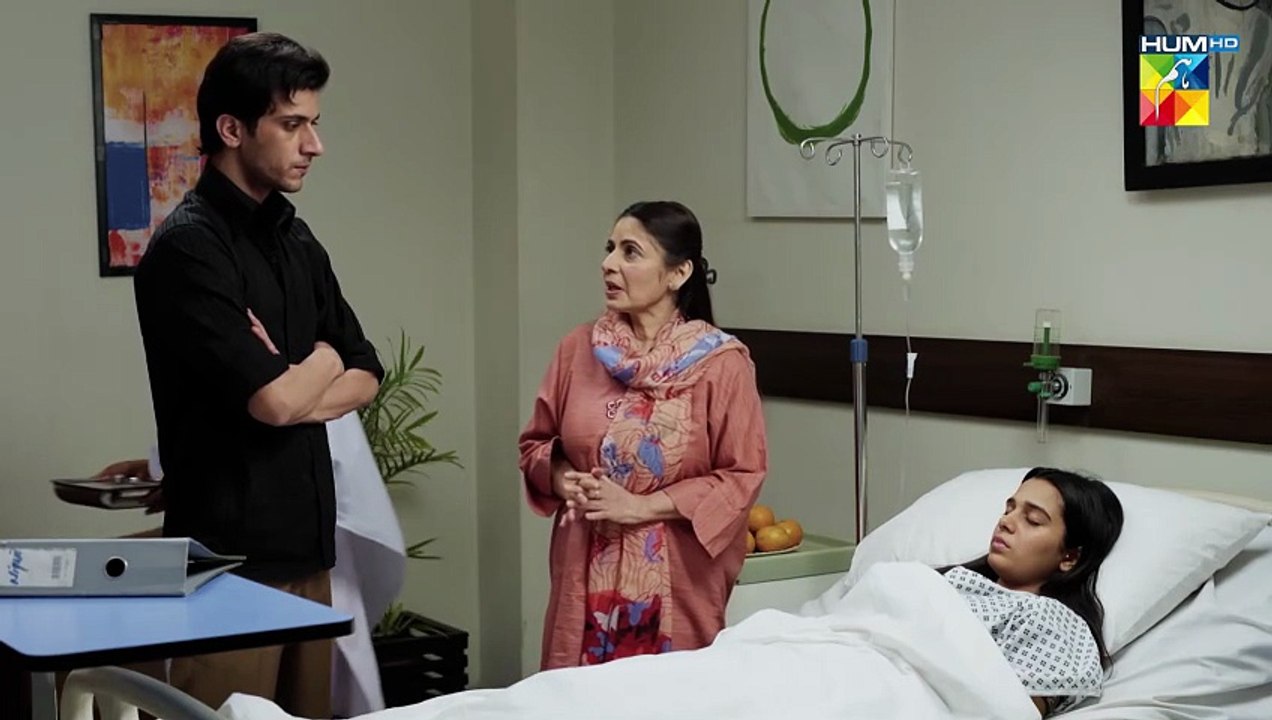 Kash Tum Ne Apni Biwi Ka Khayal Rakha Hota Daam e Mohabbat HUM TV
