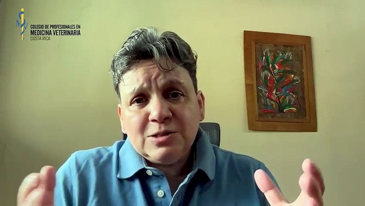 ext-colegio-de-veterinarios-indica-como-actuar-si-un-therian-pide-atencion-190226
