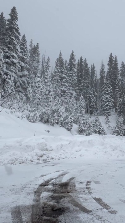Scene near Castle Peak where a deadly avalanche killed 8