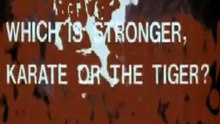 WHICH IS STRONGER. KARATE OR THE TIGER? movie trailer
