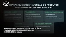 MAPA disponibiliza canal de notificações de pragas quarentenárias, exóticas ou emergentes no Brasil