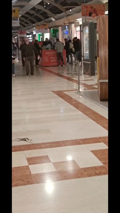 Avignon pontet colis Amazon et geek expo Mistral 7