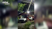 Árvore cai sobre carro e causa grandes danos durante temporal em Foz do Iguaçu