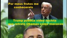 Trump publica vídeo racista que retrata Obamas como macacos