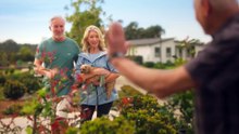 Lincoln Lifestyle - Discover Mudgee Spring