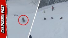 Dramatic video captures moment family of bears sprint across packed ski slope near Lake Tahoe
