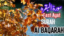 Surah Al-Baqarah 🐄:Abbasi Studio  Tilawat E Quran