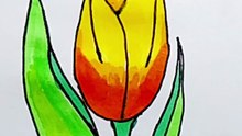 How to draw tulip