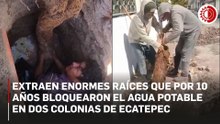 Extraen raíces que obstruyeron suministro de agua potable por 10 años en Ecatepec