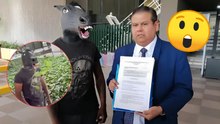Ley Therian: Nuevo León recibe la iniciativa de un joven que se identifica con un caballo