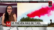 Emergencia forestal: México prevé más de 7 mil incendios este 2026