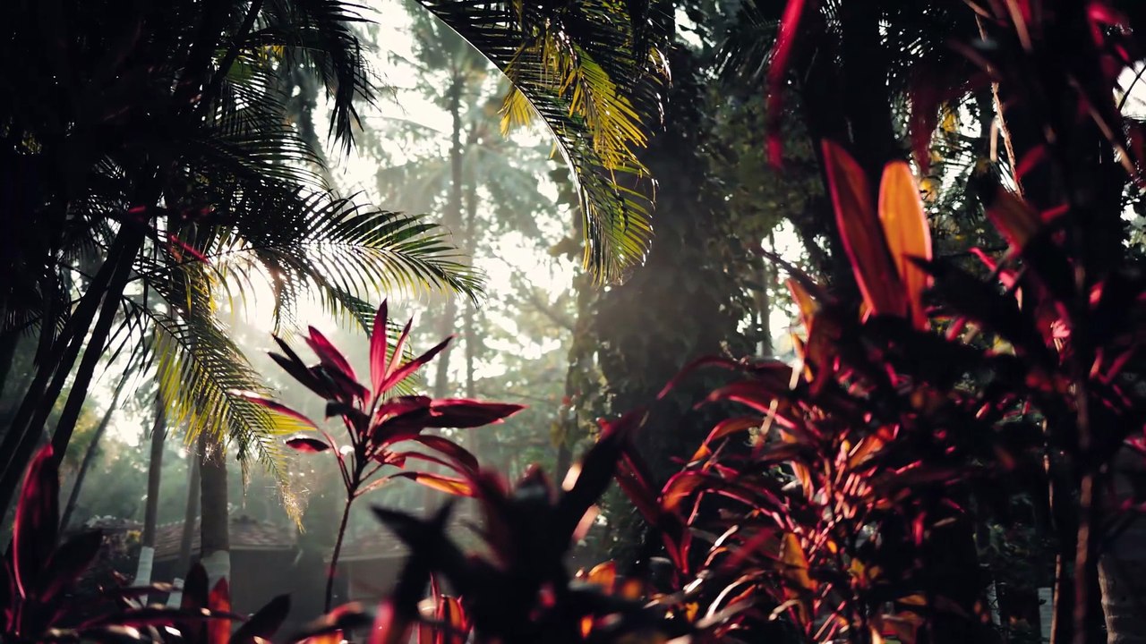 Kairali - The Ayurvedic Healing Village