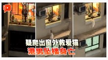 港男救爱猫未果坠楼亡 消防爱协深夜救出猫