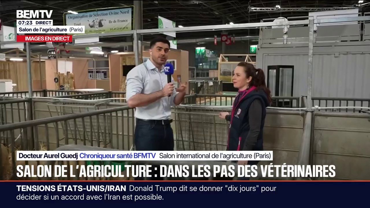 LES CONSEILS DU DOC - Comment les animaux au Salon de l'agriculture sont-ils soignés?
