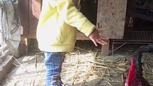 Salar ahmad playing with chicken house vlog