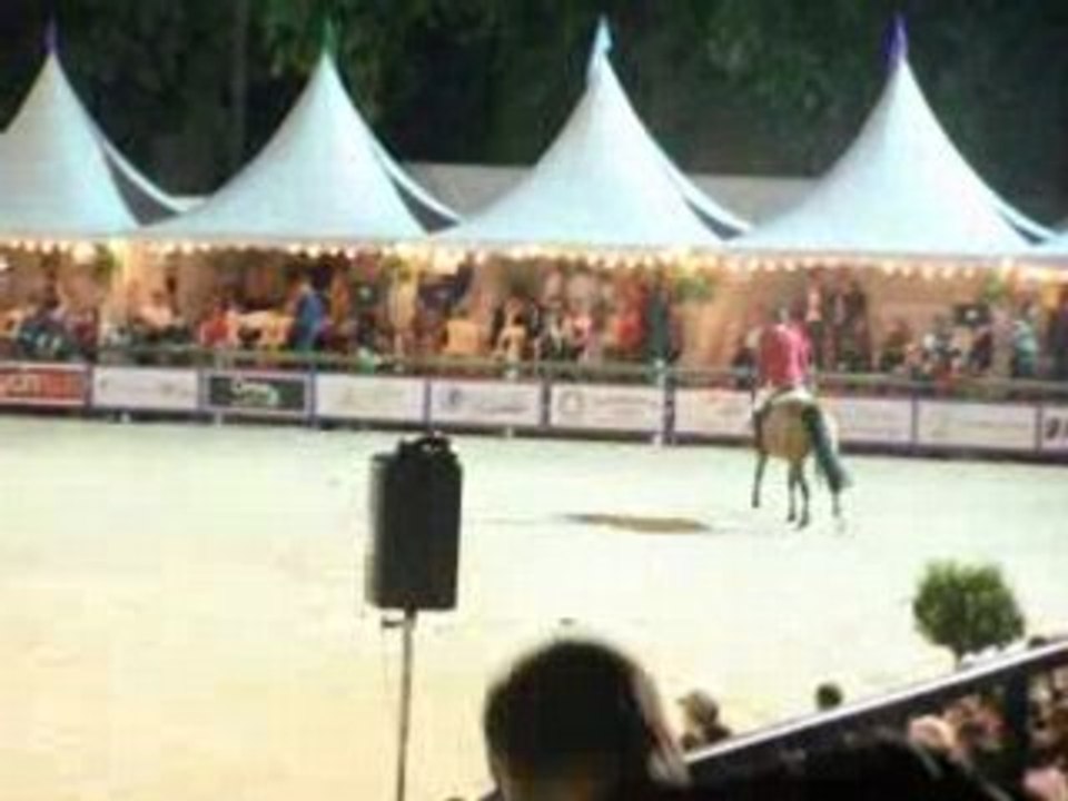 1m60 PHILIPPE PUTALLAZ / SUISSE epreuve des 6 barres