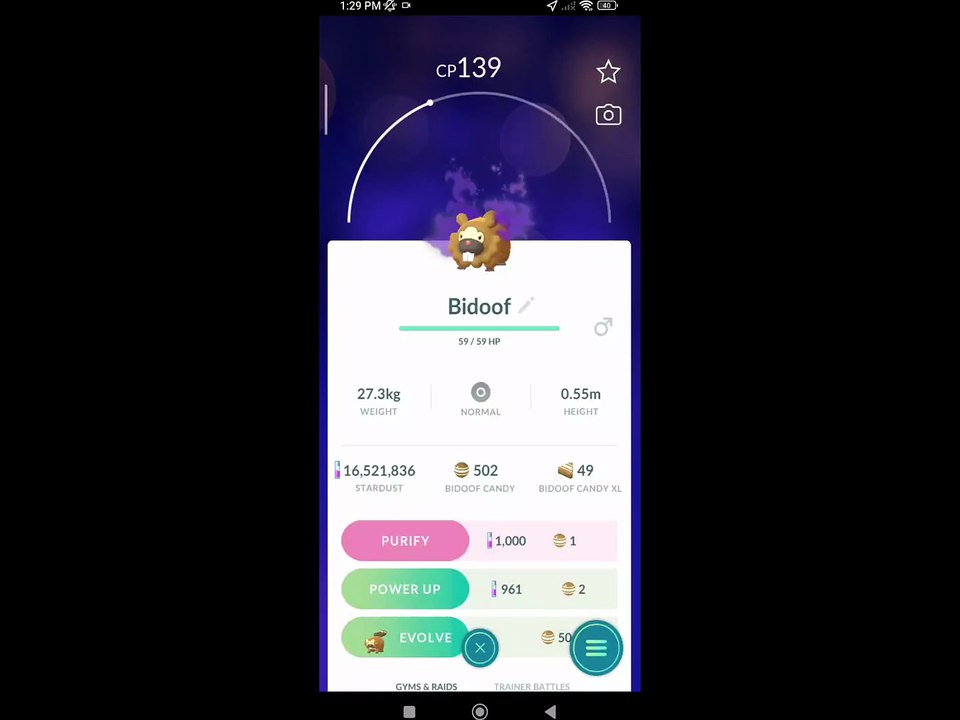 Pokémon GO-Purifying Shadow Bidoof