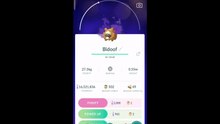 Pokémon GO-Purifying Shadow Bidoof