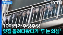 [자막뉴스] 참기 힘든 악취에 고통...위층에 부탁하자 돌아온 '욕설' / YTN