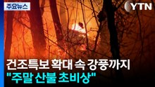 건조특보 확대 속 강풍까지..."주말 산불 초비상" / YTN