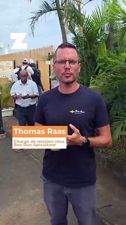 6 ruches implantées en pleine zone urbaine : les abeilles, des sentinelles de la qualité de l'air