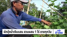ผักบุ้งน้ำเงินแสน สวนผสม 1 ไร่ ขายทุกวัน | เนชั่นทั่วไทย |  20 ก.พ. 69 | PART 2