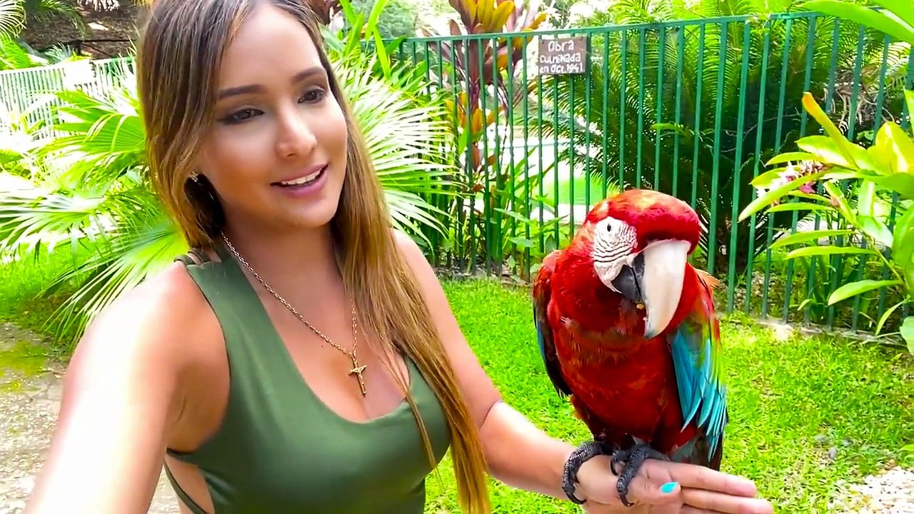 AVENTURA Y DIVERSIÓN en Hacienda la Calceta - Bejuma