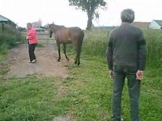 Galop champs 6 hectares