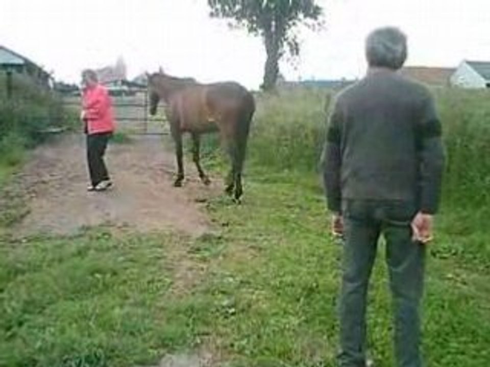 Galop champs 6 hectares