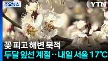 봄꽃 피고 해변도 북적...두달 앞선 계절 '내일 서울 17℃' / YTN