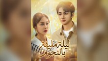 ليلة مليئة بالنجوم[مدبلج]