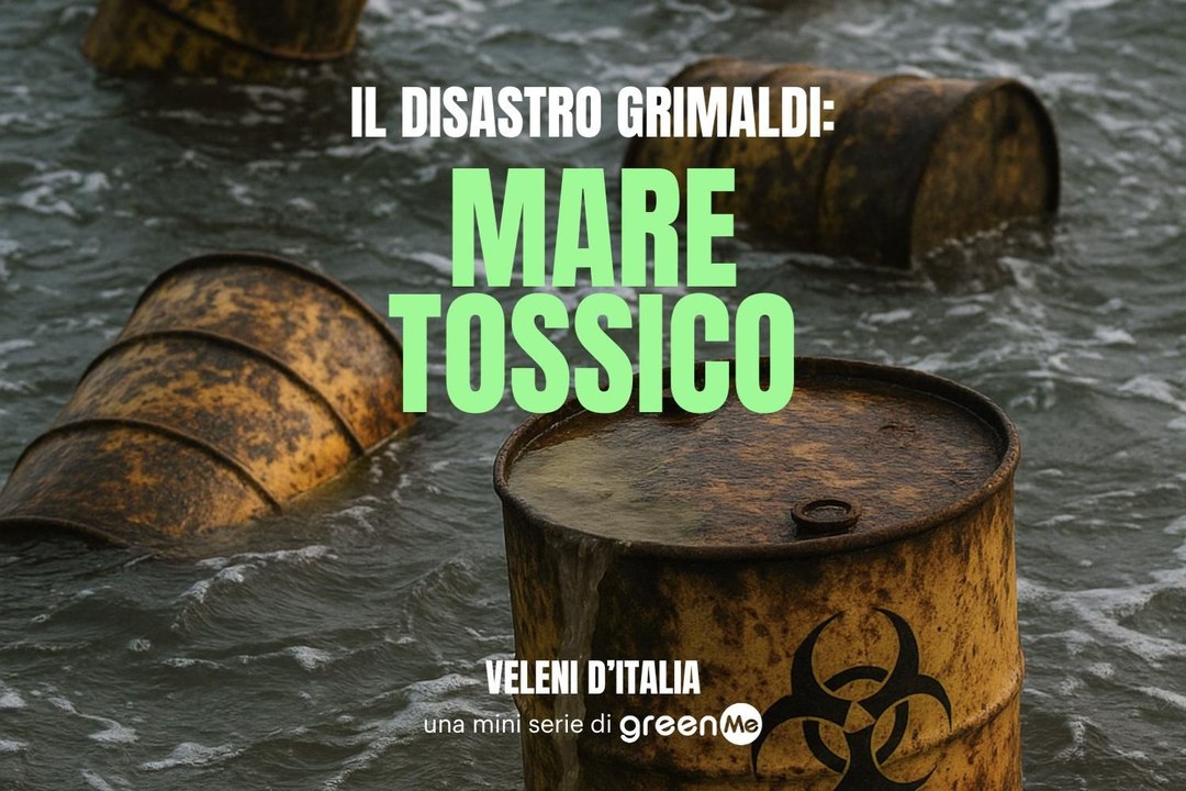 Veleni d'Italia: Il disastro Grimaldi - mare tossico
