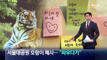 서울대공원 호랑이 ‘미호’ 폐사…“싸우다가”