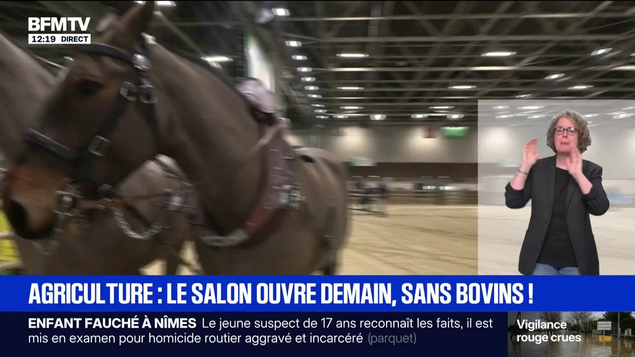 Faute de la présence de bovins, les chevaux seront mis à l'honneur au salon de l'agriculture