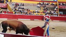 Grana y Oro con Morenito de Aranda