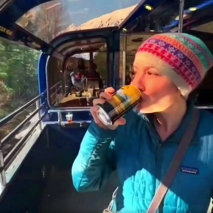 TRAVELLING TO ALASKA IN A TRAIN AND WATCHING THE BEAUTIFUL NATURE-31