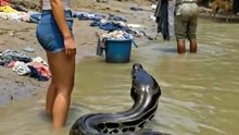 Snake attack for girl in the revar
