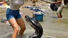 Snake attack for girl in the revar