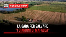 La gara di solidarietà per salvare "I Giardini di Mafalda", la flower farm di Rieti distrutta dal maltempo