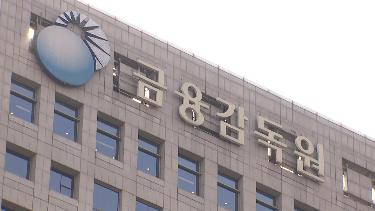 금감원, 이 대통령 지적에 '다주택자 대출' 대응 TF 가동 / YTN