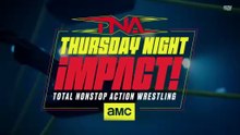 impact_19feb26