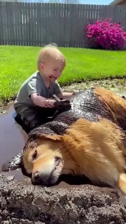 Dog and Baby Affection #goldenretriever #dog #kingdomofawais