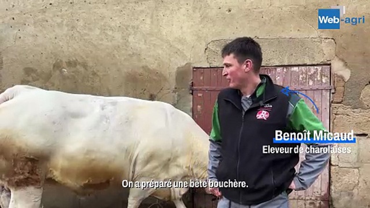 Sia 2026 : Une vente Charolais label rouge à distance