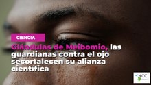 Glándulas de Meibomio, las guardianas contra el ojo seco