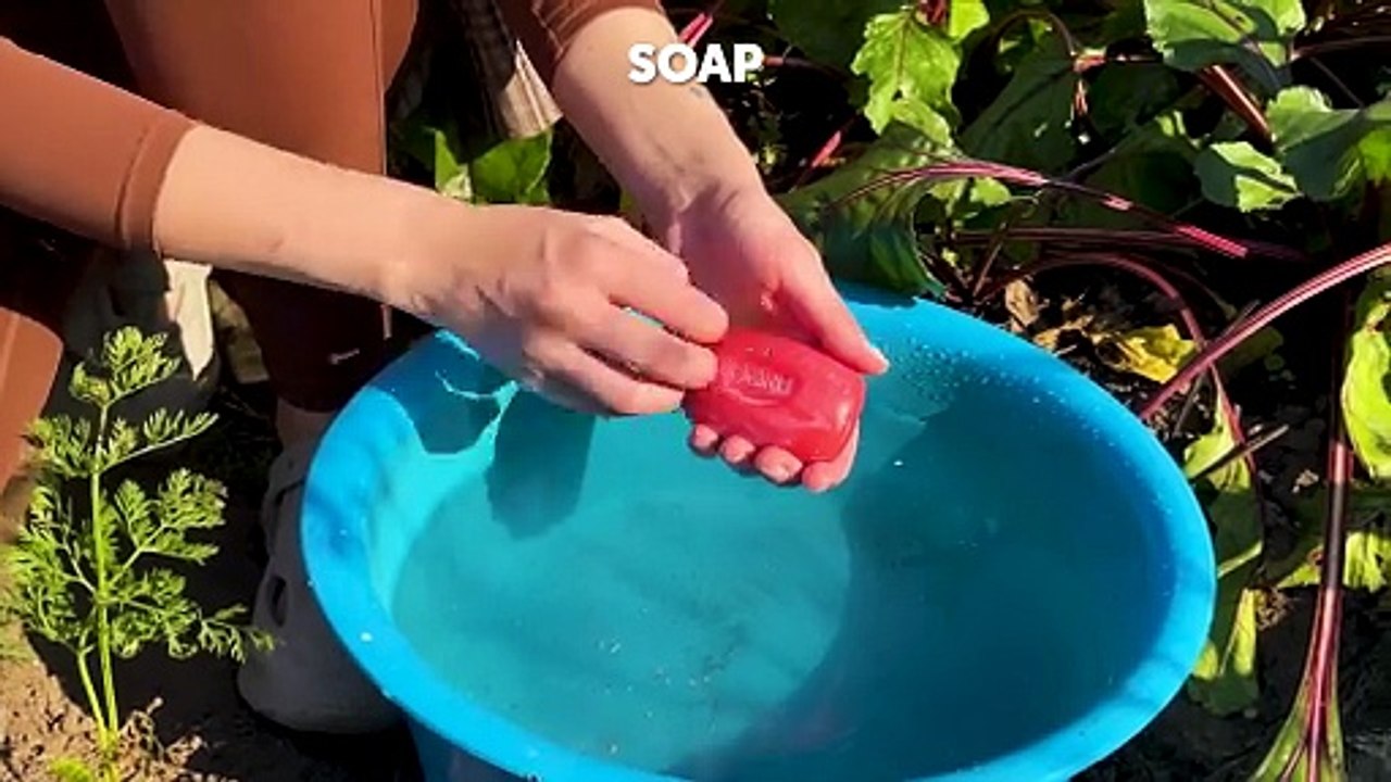 Nail Hack Every Gardener Needs 💅🌱