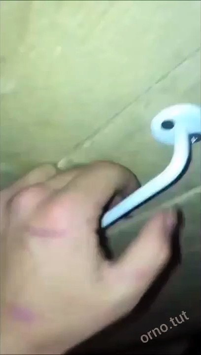 Un chat veut rentrer dans la maison... un très gros chat