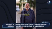 Vox sobre la pérdida del alma de Palma: "Bares de siempre cerrados y bazares chinos o kebab en cada esquina"