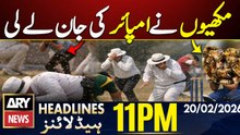 Cricket Umpire Dies In Bee Attack | ARY News 11 PM Headlines | 20th Feb 26