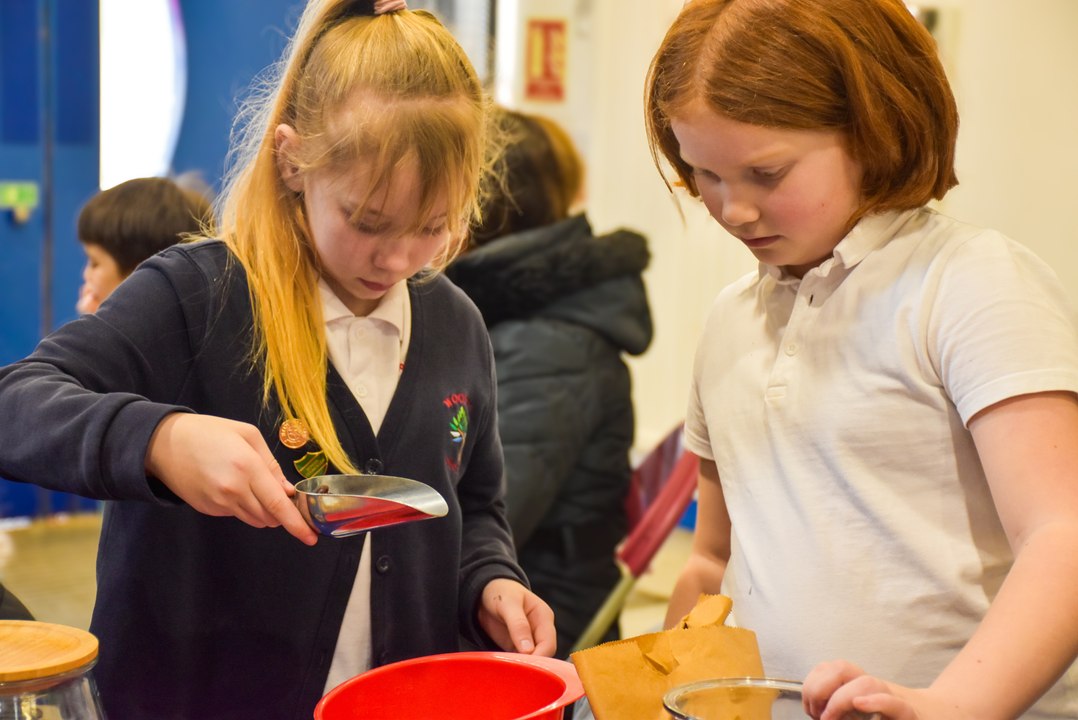 Young ACAN Schools' Eco Conference at Alton College
