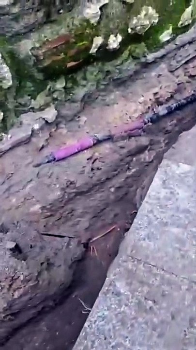 Hallan restos humanos en la Iglesia de Santa María de Illescas